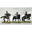 Mounted field officers