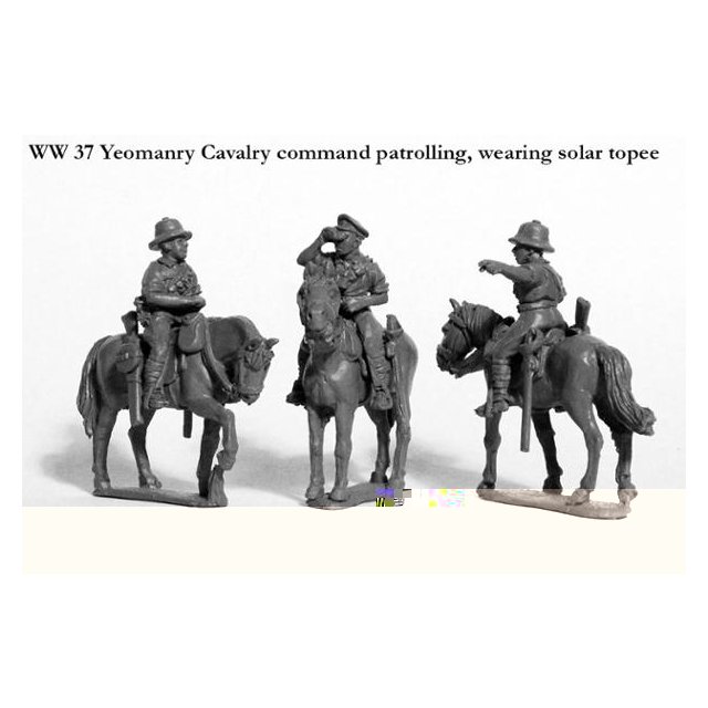 Yeomanry Cavalry command patrolling