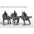 Yeomanry Cavalry command, helmets, charging