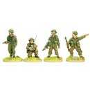 British and Commonwealth Infantry Platoon Command