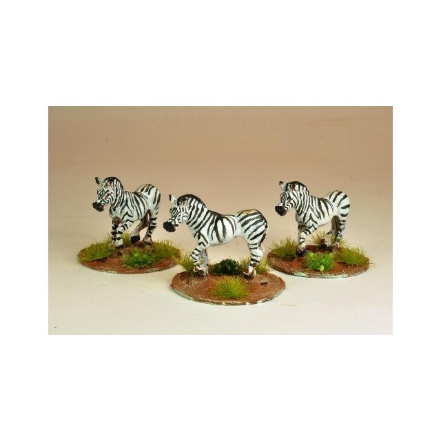 Zebra (5)