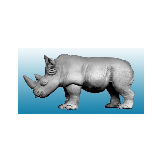 Rhino (1)