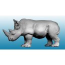Rhino (1)