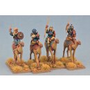 Mutatawwia Fanatics (Hearthguard) on Camels (4)