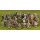 Anglo-Saxon Warband Starter - 33 Foot Figures