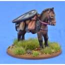 SSC17 Pack Pony (Kite Shield) (1)