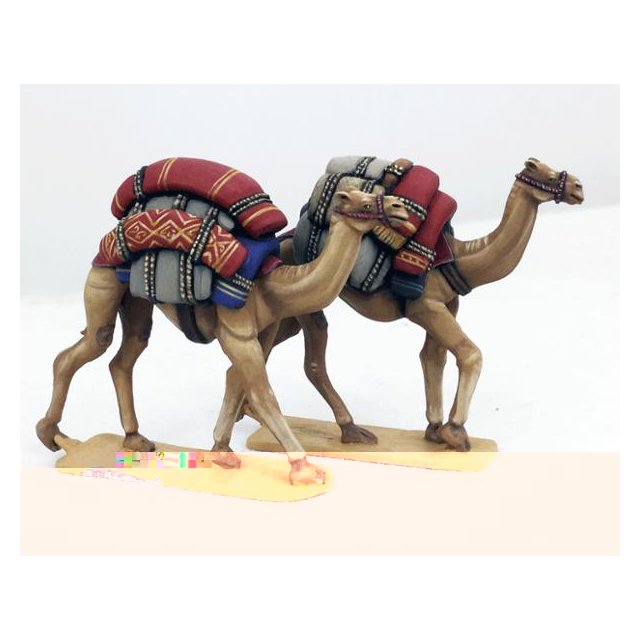 SSC23 Baggage Camels (2)